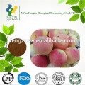 High quality apple pectin powder